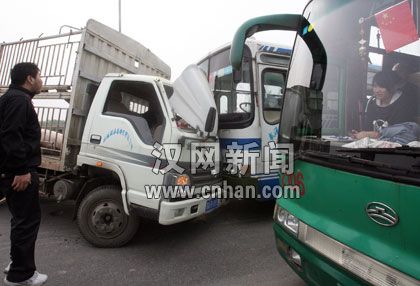 运猪车遇车祸10头肥猪炮弹飞向护栏(组图)