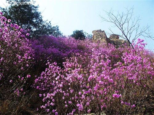 玩转自驾游之阿尔山 4款四驱城市型SUV 汽车之家 玩转自驾游之阿尔山 4款四驱城市型SUV 汽车之家