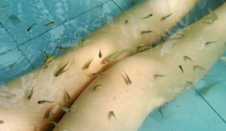 盘点国内12个最热门的温泉旅游线路(2)