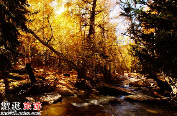 月亮湾边的秋天小诗