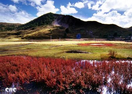 “枫”景四川独好 覆盖全川自驾游线路(2)