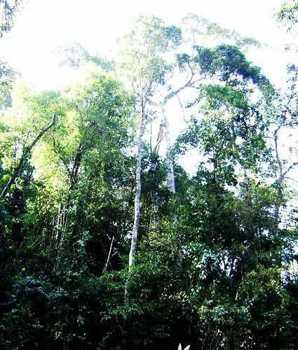 海南冬日七大玩法 驴友酷玩攻略