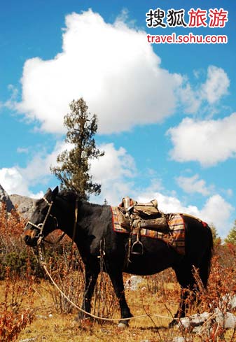到牟尼沟记得体验骑马哦