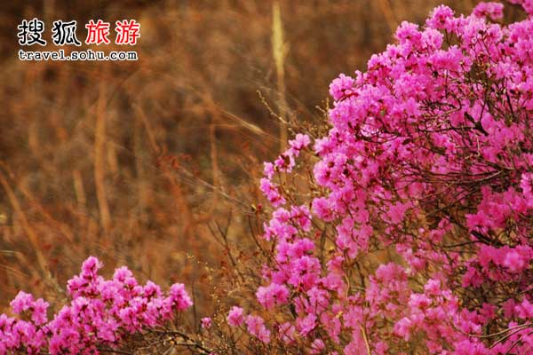 玩家引路：食住行攻略