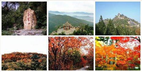 百望山森林公园