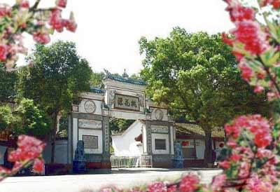 桃花源处赏桃花