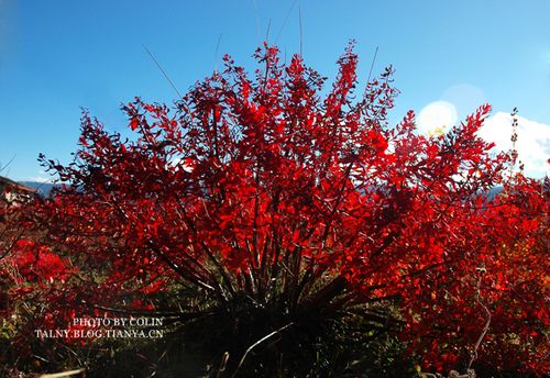 提前定计划 秋季绝美出游地推荐(图)